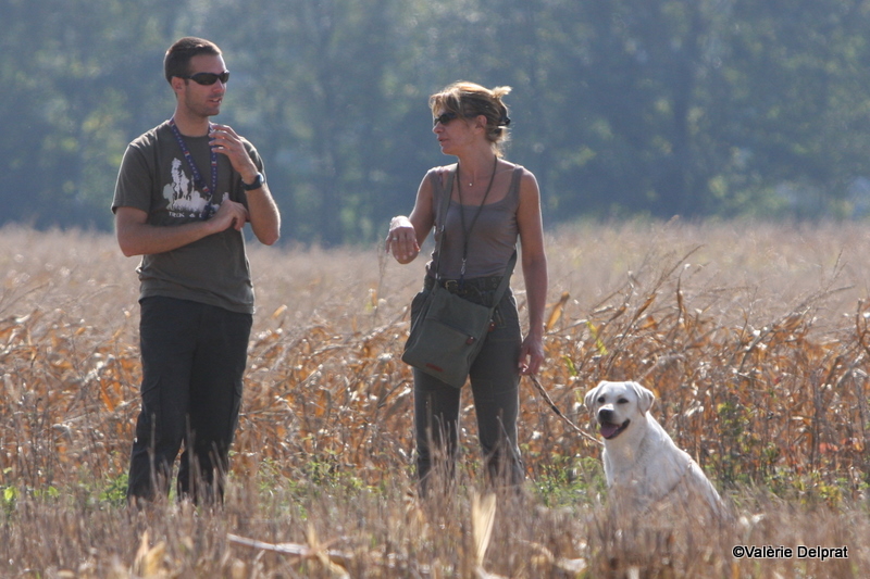 Field Erstein 09 (176).JPG